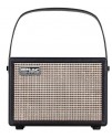 COOLMUSIC Unique 15G 便攜 結他音箱
